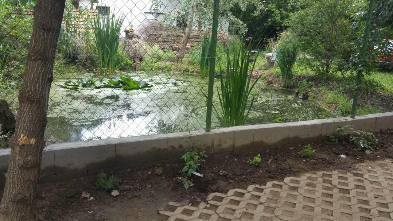 Отель Elo Tisza Vendeghaz Nagykoru Экстерьер фото